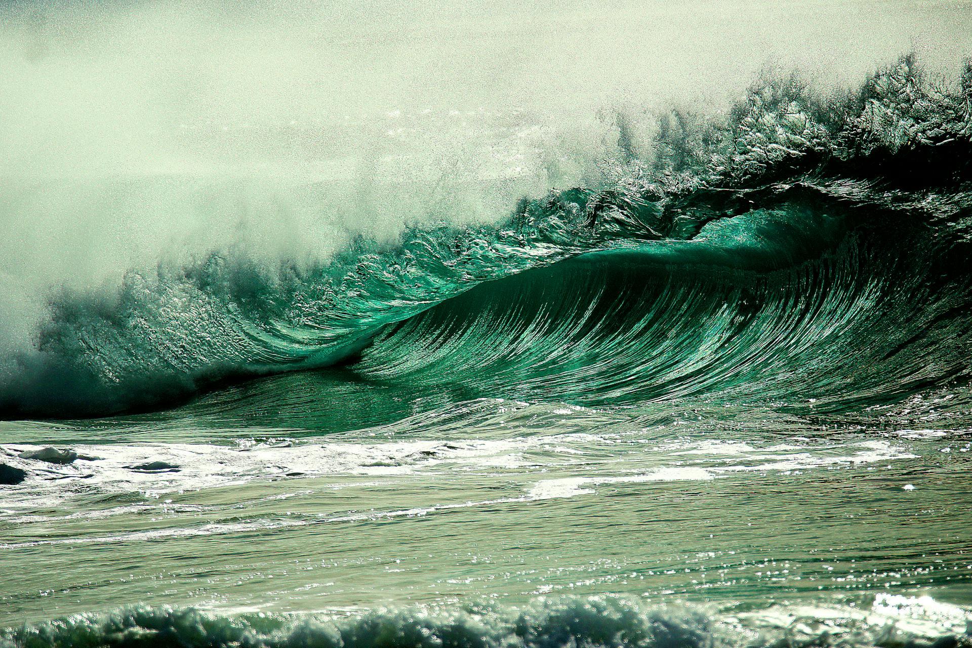 Photo of Prisoner Suicides: Why is the Prison Service Immune From Failure?